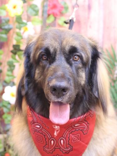 20230829シェリーちゃん